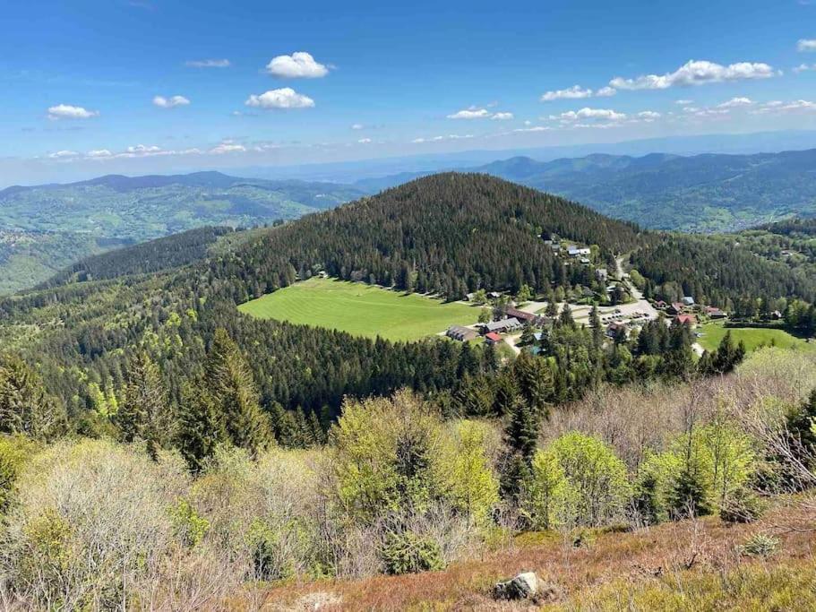 Au Nid Des Pies Appartement Soultzeren Buitenkant foto